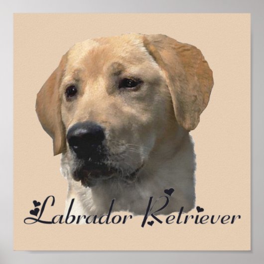 Labrador Retriever Art Prints (Voorkant)