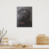 Labrador Retriever Beauful Poster (Keuken)