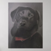 Labrador Retriever Beauful Poster (Voorkant)