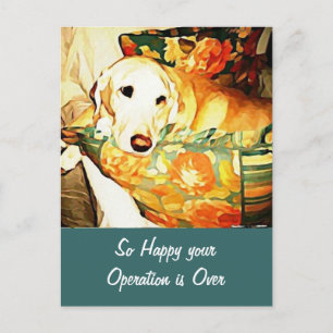 Labrador Retriever Beterschap Ansichtkaart Briefkaart
