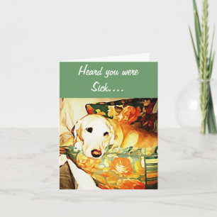 Labrador Retriever Beterschap Kaart
