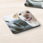 Labrador Retriever Bier Onderzetter (Linkerzijde)