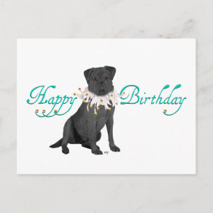 Labrador Retriever Birthday Greetings Briefkaart