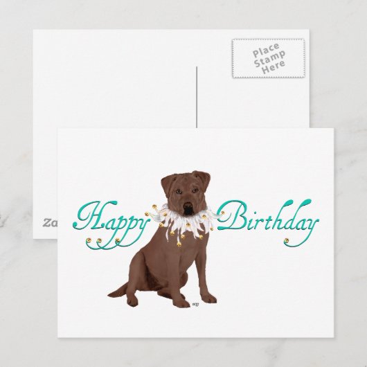 Labrador Retriever Birthday Greetings Briefkaart (Voorkant / Achterkant)