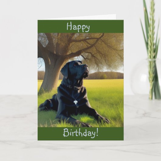 Labrador Retriever Birthday Kaart (Voorkant)