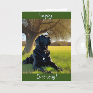 Labrador Retriever Birthday Kaart