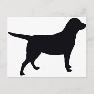 Labrador Retriever Briefkaart