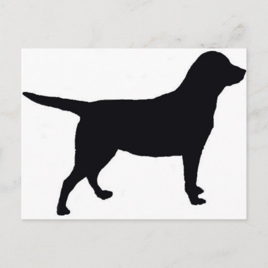 Labrador Retriever Briefkaart (Voorkant)