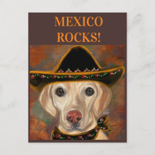 Labrador Retriever    Briefkaart