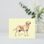 Labrador Retriever Briefkaart (Staand voorkant)