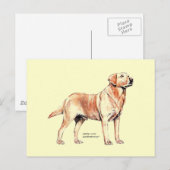 Labrador Retriever Briefkaart (Voorkant / Achterkant)