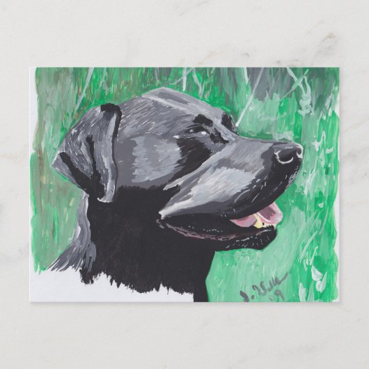 Labrador Retriever Briefkaart (Voorkant)