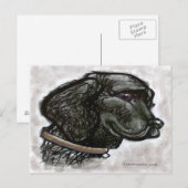 Labrador Retriever Briefkaart (Voorkant / Achterkant)