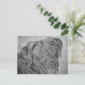 Labrador Retriever Briefkaart (Staand voorkant)