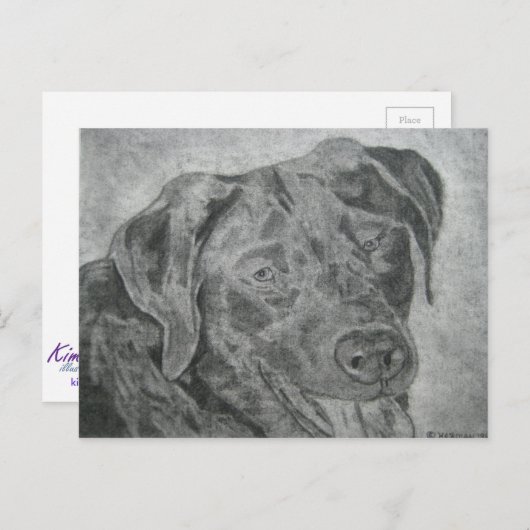 Labrador Retriever Briefkaart (Voorkant / Achterkant)