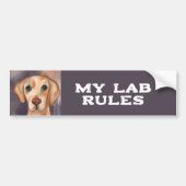 Labrador Retriever Bumpersticker (Voorkant)