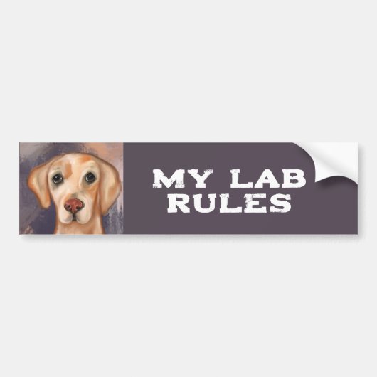 Labrador Retriever Bumpersticker (Voorkant)