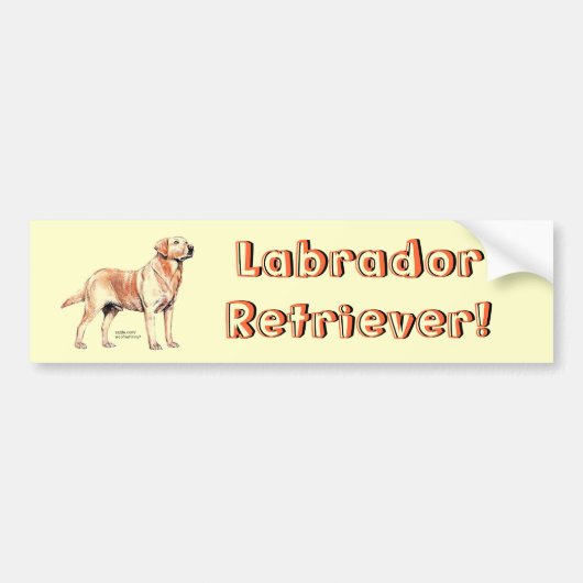 Labrador Retriever Bumpersticker (Voorkant)
