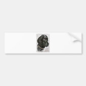 Labrador Retriever Bumpersticker (Voorkant)