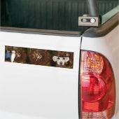 Labrador Retriever Bumpersticker (Op Truck)