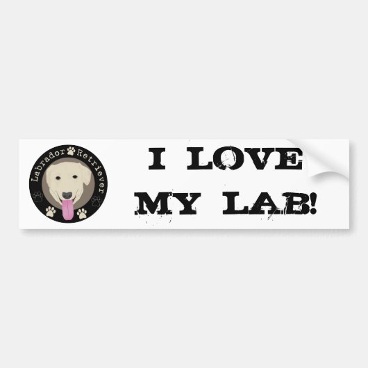 Labrador Retriever Bumpersticker (Voorkant)