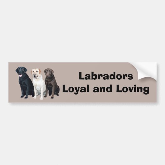 Labrador Retriever Bumpersticker (Voorkant)