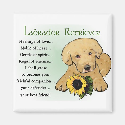 Labrador Retriever Cadeaus Magneet (Voorkant)