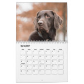 Labrador Retriever Calendar Kalender (Mar 2027)