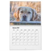 Labrador Retriever Calendar Kalender (Feb 2027)