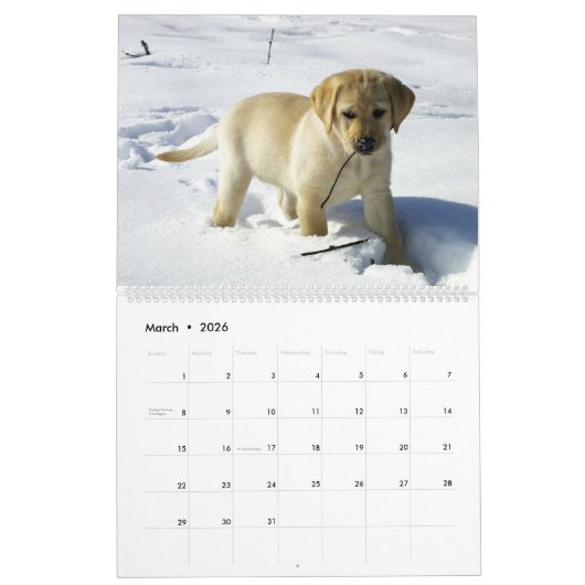Labrador Retriever Calender Kalender (Mar 2026)