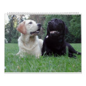 Labrador Retriever Calender Kalender (Hoes)