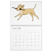 Labrador Retriever Calender Kalender (Jan 2026)