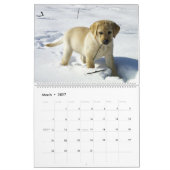 Labrador Retriever Calender Kalender (Mar 2027)