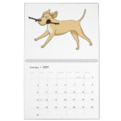 Labrador Retriever Calender Kalender (Jan 2027)