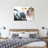 Labrador Retriever Canvas Afdruk (Insitu (Slaapkamer))