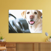 Labrador Retriever Canvas Afdruk (Insitu (Woonkamer))