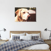 Labrador Retriever Canvas Afdruk (Insitu (Slaapkamer))