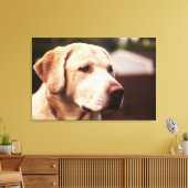 Labrador Retriever Canvas Afdruk (Insitu (Woonkamer))