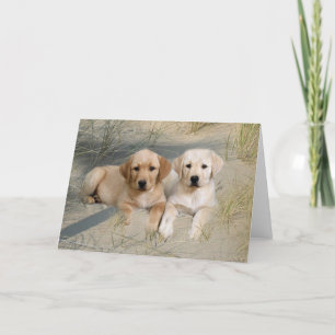 Labrador Retriever Card-pups op strand Kaart