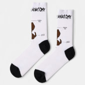 Labrador Retriever Chocolade Cartoon Anatomie Sokken (Links)