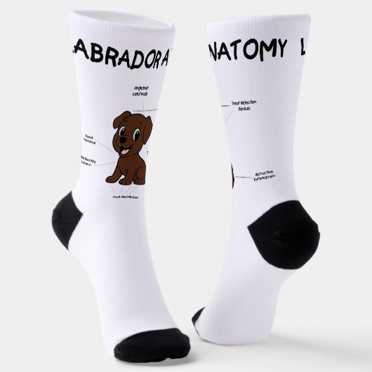 Labrador Retriever Chocolade Cartoon Anatomie Sokken (Gebogen)