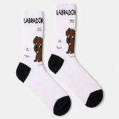 Labrador Retriever Chocolade Cartoon Anatomie Sokken (Rechts)