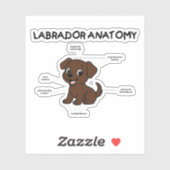 Labrador Retriever Chocolade Cartoon Anatomie Sticker (Vel)