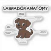 Labrador Retriever Chocolade Cartoon Anatomie Sticker (Voorkant)