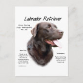 Labrador Retriever (chocolade) Geschiedenis Ontwer Briefkaart (Voorkant)