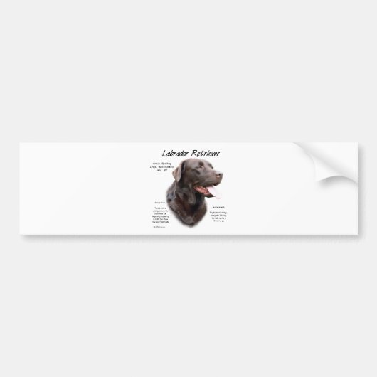 Labrador Retriever (chocolade) Geschiedenis Ontwer Bumpersticker (Voorkant)
