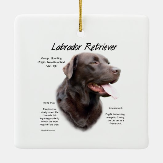 Labrador Retriever (chocolade) Geschiedenis Ontwer Keramisch Ornament (Achterkant)