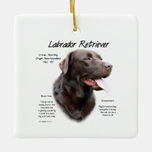Labrador Retriever (chocolade) Geschiedenis Ontwer Keramisch Ornament