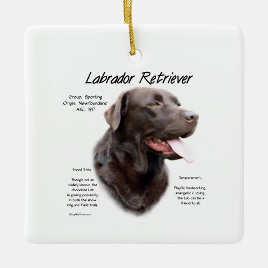 Labrador Retriever (chocolade) Geschiedenis Ontwer Keramisch Ornament (Voorkant)