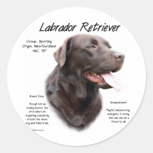 Labrador Retriever (chocolade) Geschiedenis Ontwer Ronde Sticker